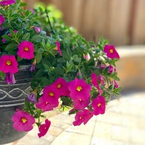 Meet your Posher, Sonam